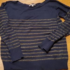 Navy and Gold Sweater